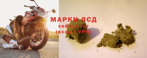 мяу мяу мука Касимов