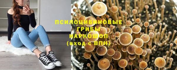 мяу мяу мука Касимов