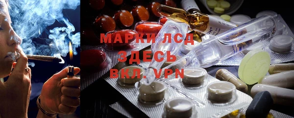 ПСИЛОЦИБИНОВЫЕ ГРИБЫ Карпинск