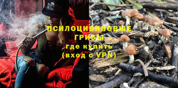 ПСИЛОЦИБИНОВЫЕ ГРИБЫ Карпинск